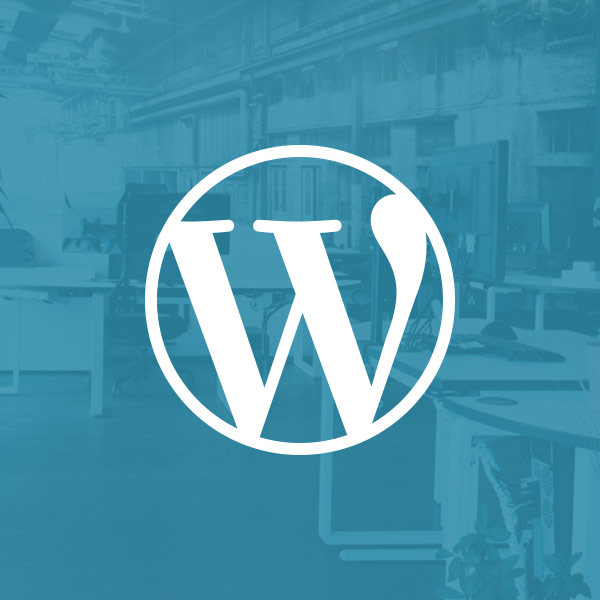 24pm Werbeagentur Freelancer Icon Wordpress